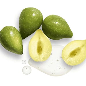Kakadu Plum